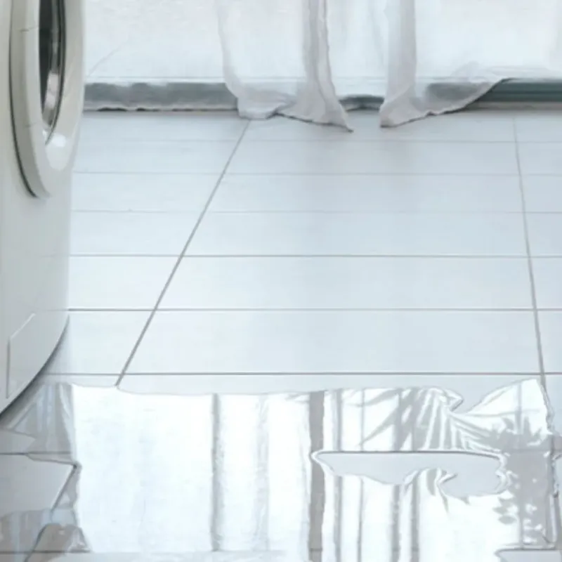 Appliance Leak Cleanup in Bogalusa, LA