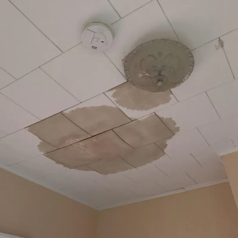 Ceiling Water Damage Repair in Bogalusa, LA